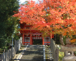 金刀比羅神社