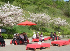 昨年の第1回「桜の花見」風景