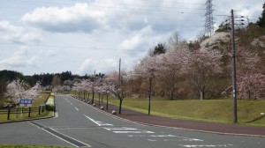 峰山球場